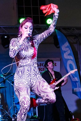 2016-friday-night-fete 2