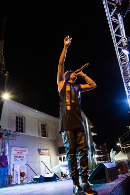 2016-friday-night-fete 18